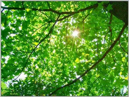 写メ日記 まなみ 4/27(月) 14:13