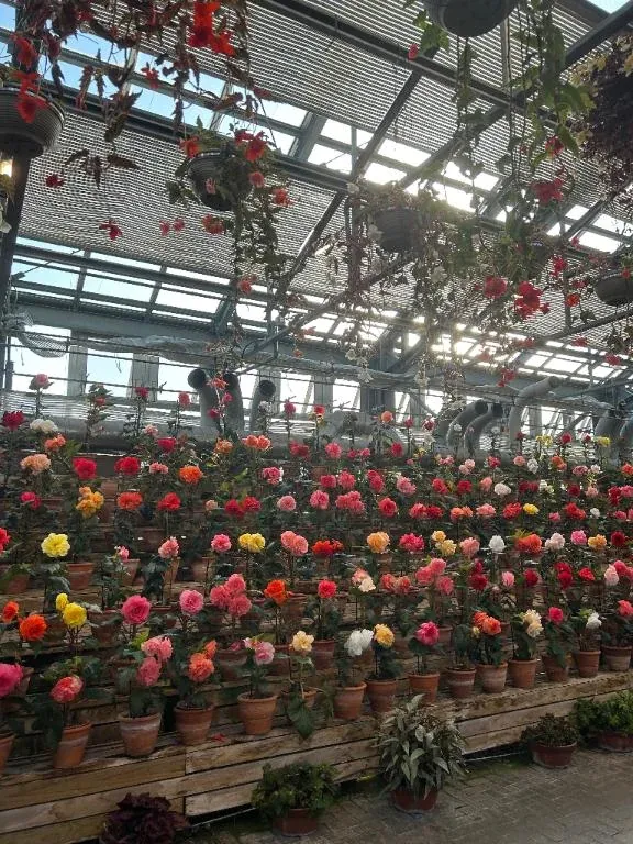 写メ日記 のりか 4/26(日) 10:54