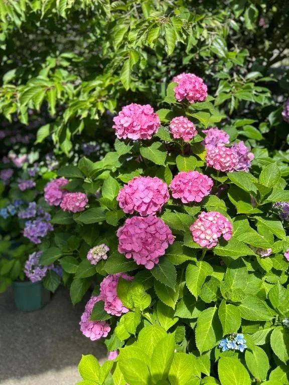 写メ日記 のりか 6/18(木) 09:14