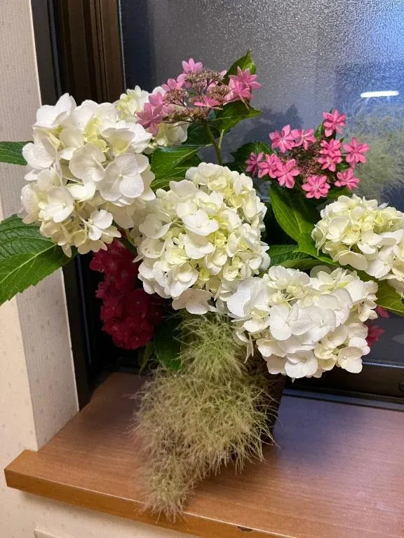 写メ日記 ようこ 6/7(日) 05:14