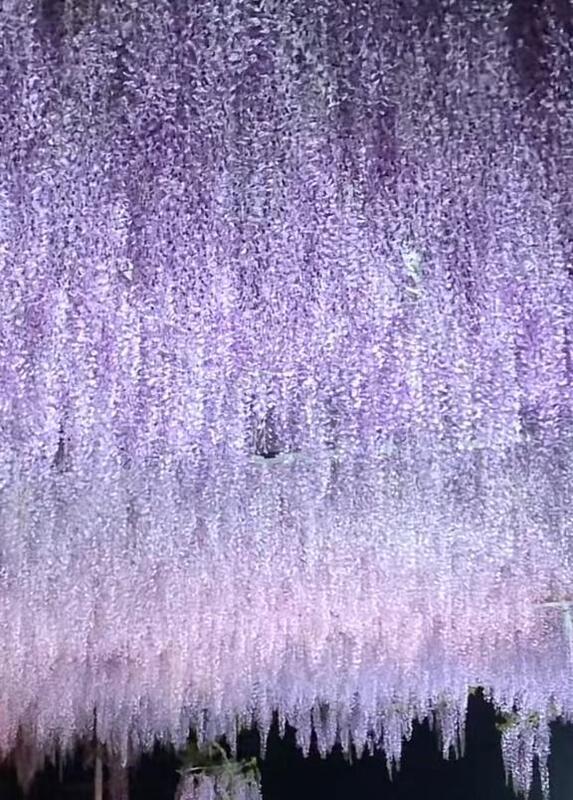 みつ 写メ日記 5/3(土) 17:14