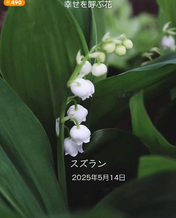 みつ 写メ日記 5/17(土) 17:39