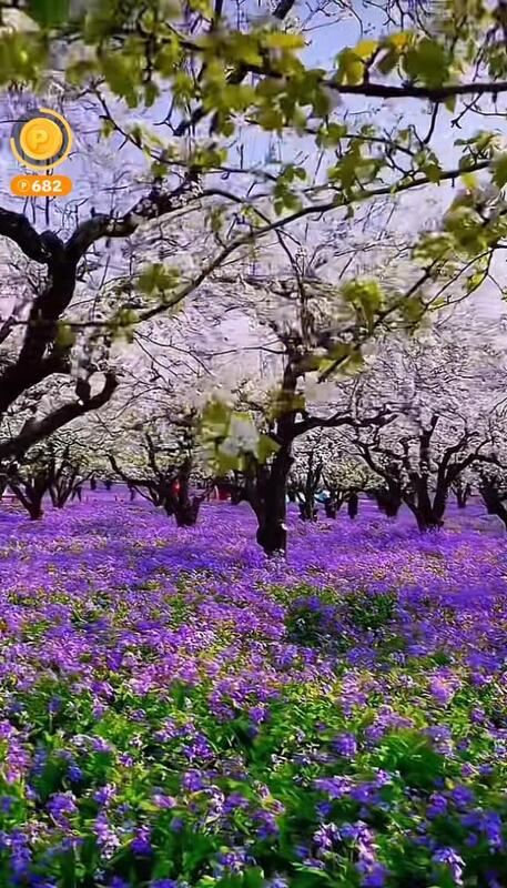 みつ 写メ日記 5/28(水) 16:34