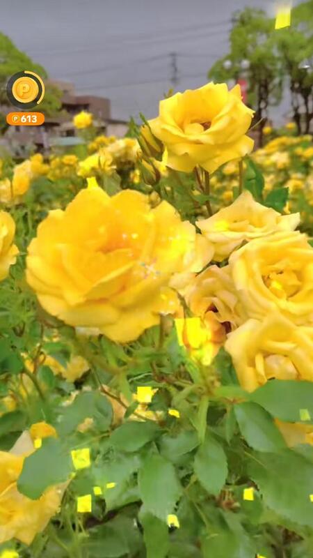 みつ 写メ日記 6/8(日) 00:14