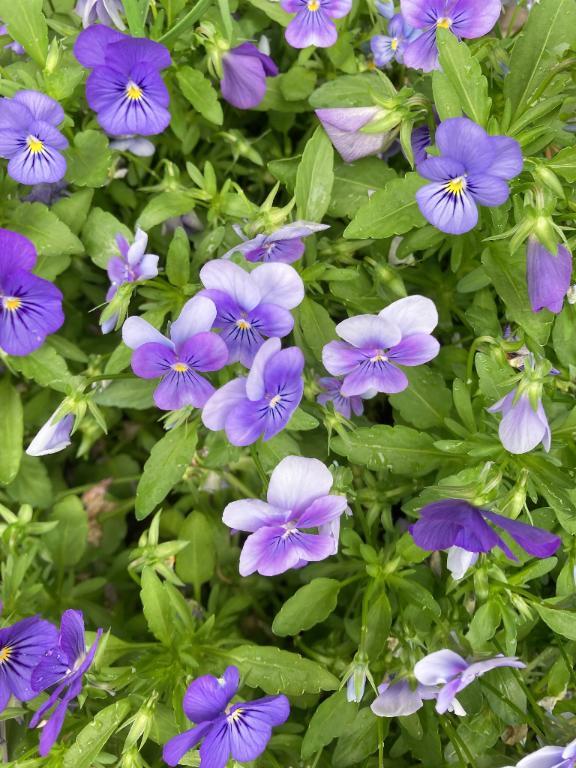 みつ 写メ日記 6/22(日) 21:04