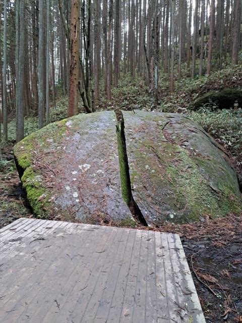 ふみ 写メ日記 4/14(月) 10:44