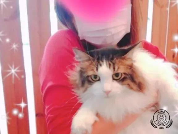 写メ日記 さら 2/26(木) 17:14