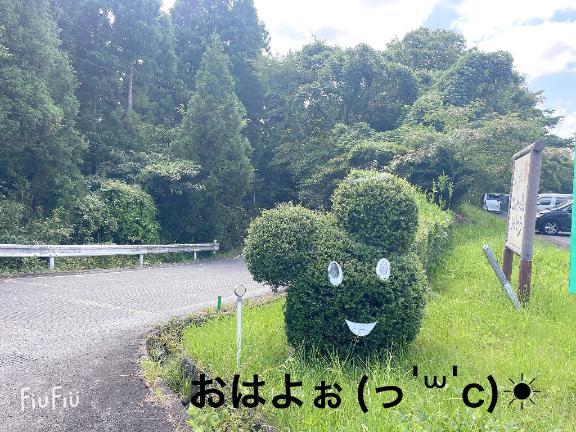 すみ 写メ日記 3/16(日) 07:04