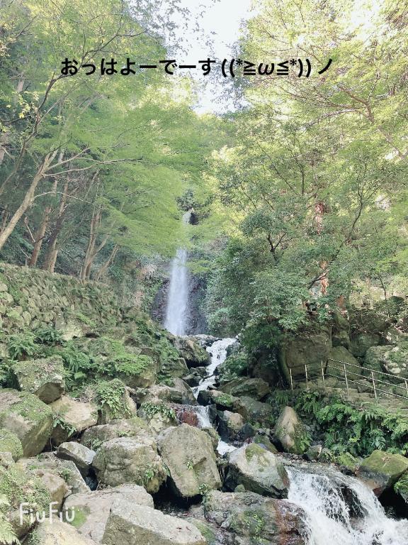 すみ 写メ日記 4/16(水) 06:14
