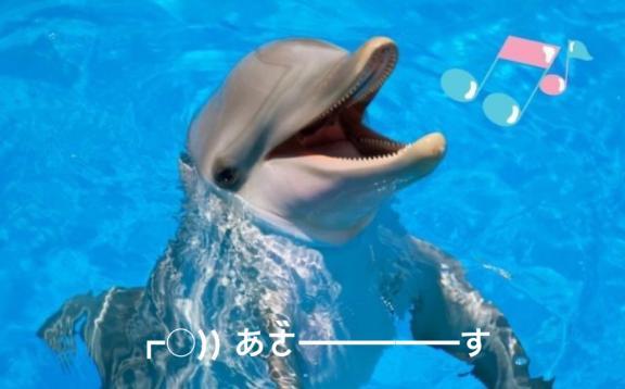 すみ 写メ日記 5/2(金) 14:14