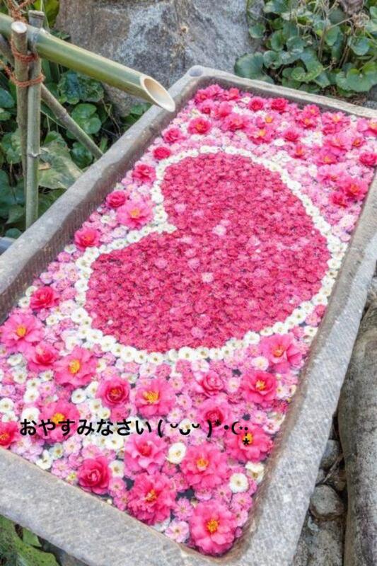 すみ 写メ日記 5/6(火) 20:14