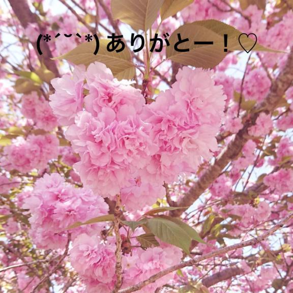 すみ 写メ日記 5/9(金) 16:34