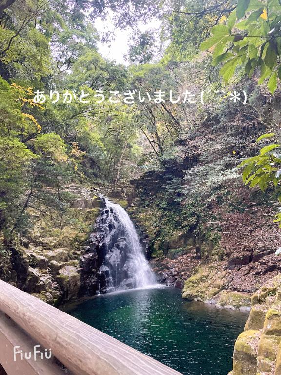 すみ 写メ日記 5/16(金) 12:05