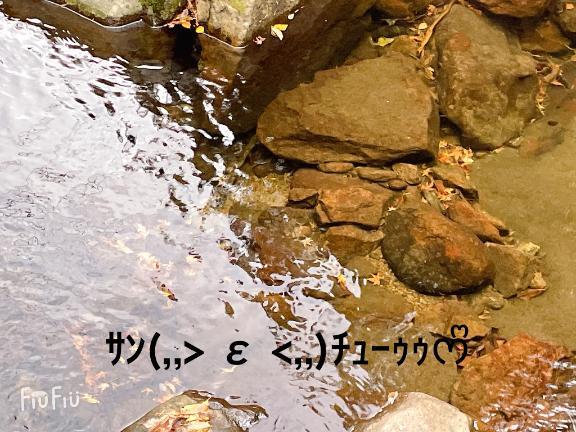 すみ 写メ日記 5/18(日) 13:34