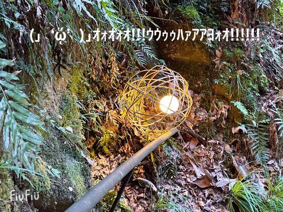 すみ 写メ日記 5/25(日) 07:54
