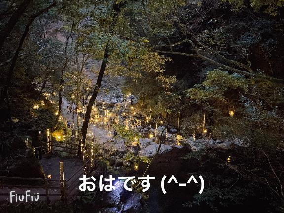 すみ 写メ日記 6/1(日) 08:11