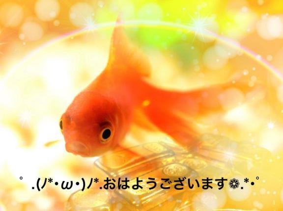 すみ 写メ日記 6/17(火) 06:59