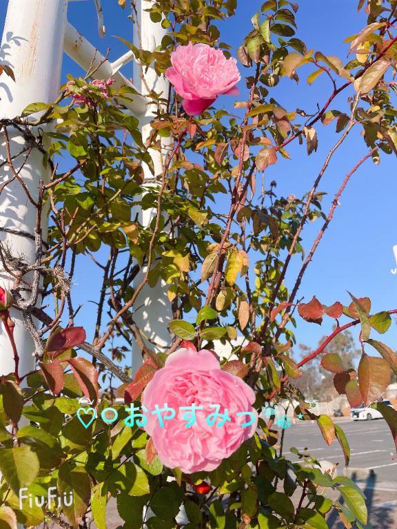 すみ 写メ日記 6/19(木) 20:34