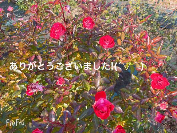 すみ 写メ日記 6/22(日) 16:14