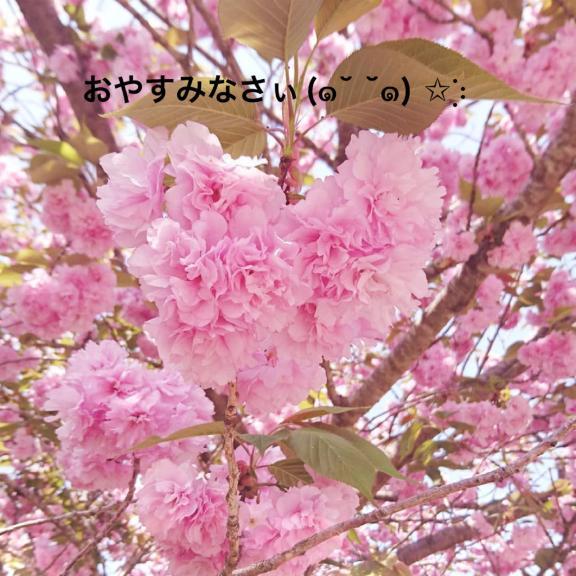 すみ 写メ日記 6/23(月) 20:44