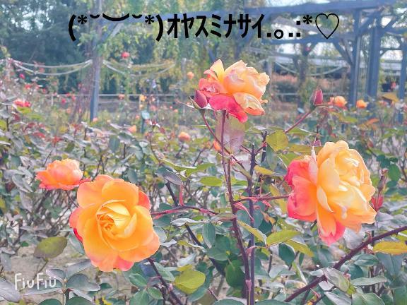 すみ 写メ日記 6/28(土) 00:44