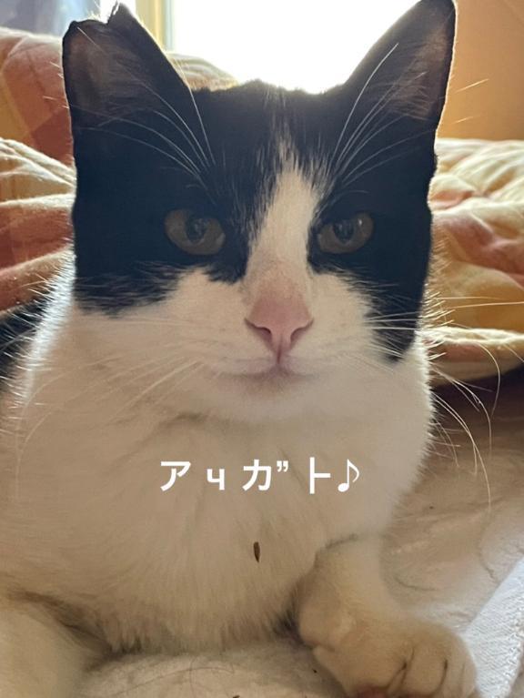 すみ 写メ日記 8/8(金) 18:44
