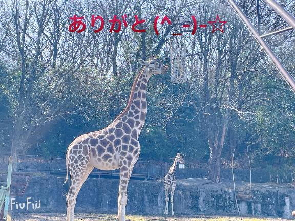 すみ 写メ日記 8/9(土) 23:54