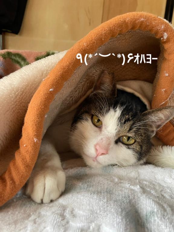 すみ 写メ日記 8/10(日) 07:24