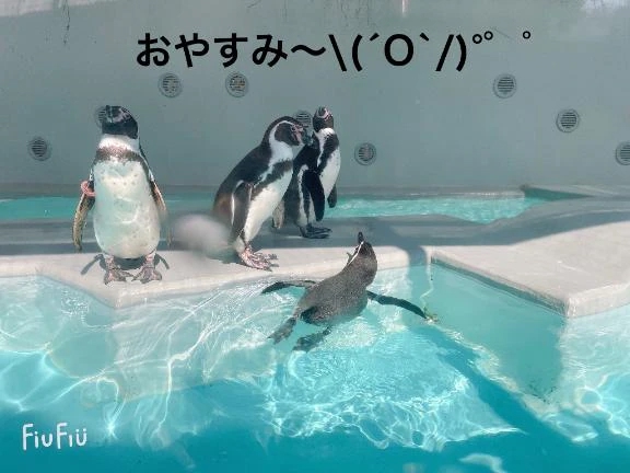 すみ 写メ日記 8/27(水) 20:14