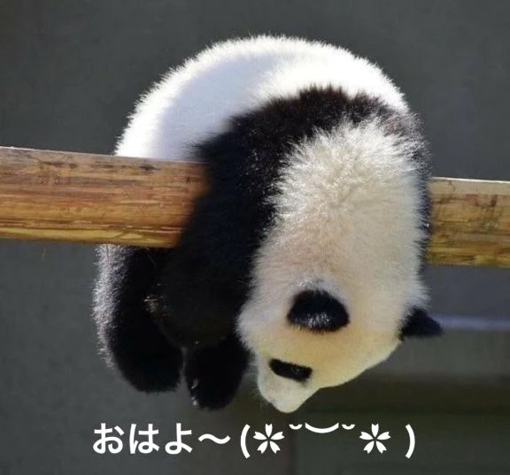 すみ 写メ日記 10/24(金) 06:34