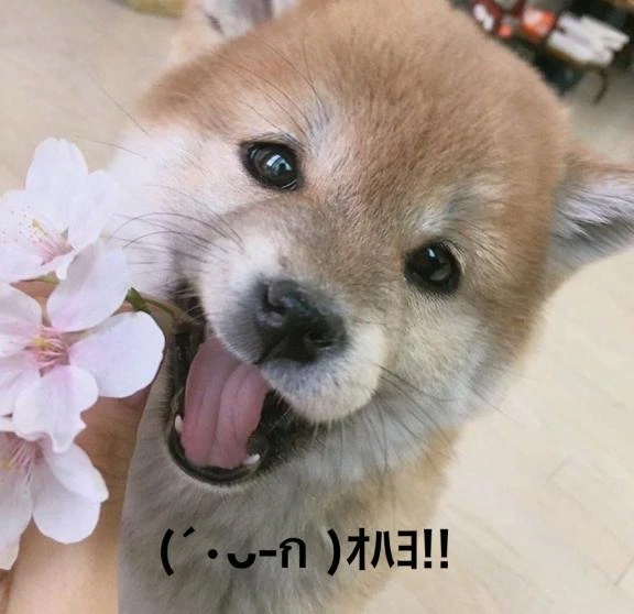 すみ 写メ日記 10/27(月) 06:44