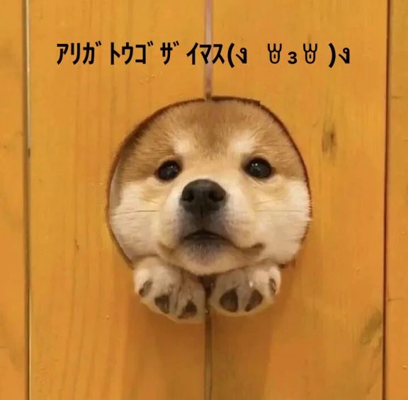 すみ 写メ日記 10/28(火) 20:04