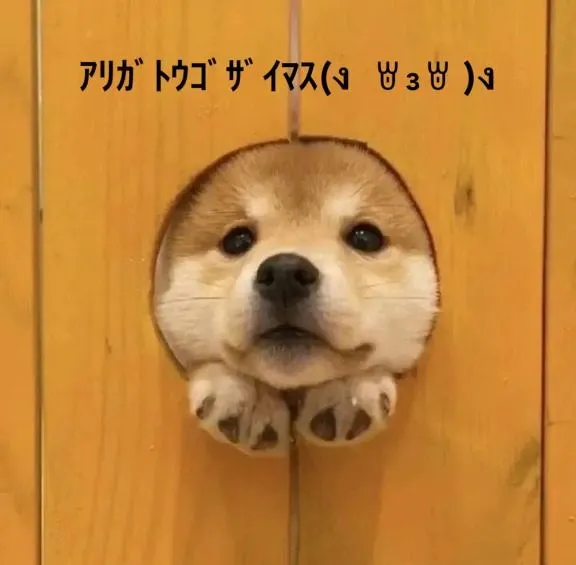 写メ日記 すみ 10/28(火) 20:04