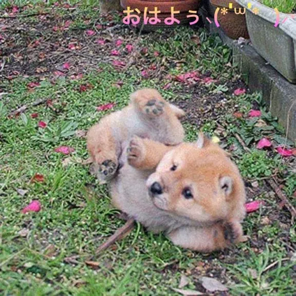 写メ日記 すみ 11/2(日) 07:24