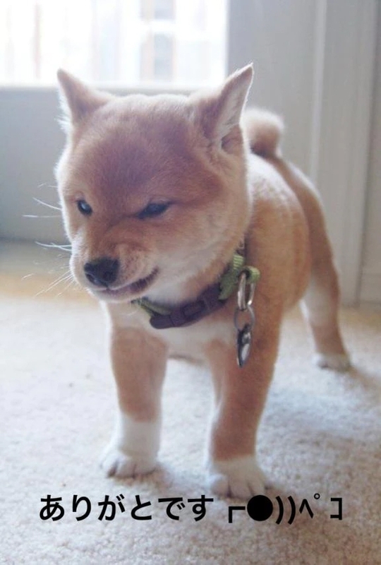 すみ 写メ日記 11/21(金) 16:24