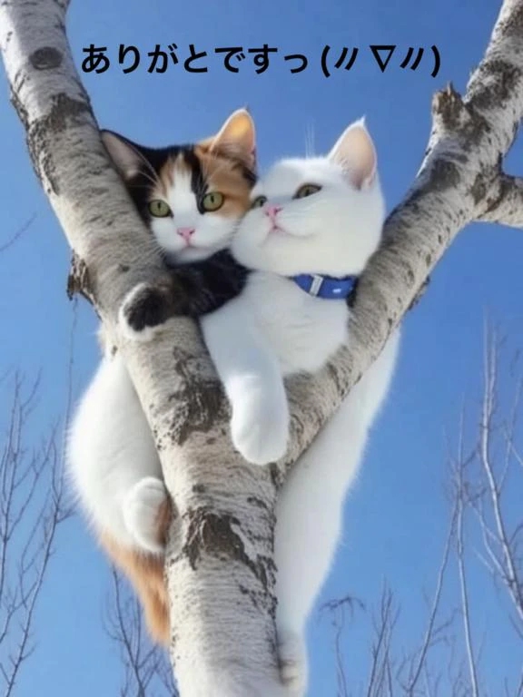 すみ 写メ日記 12/7(日) 12:42