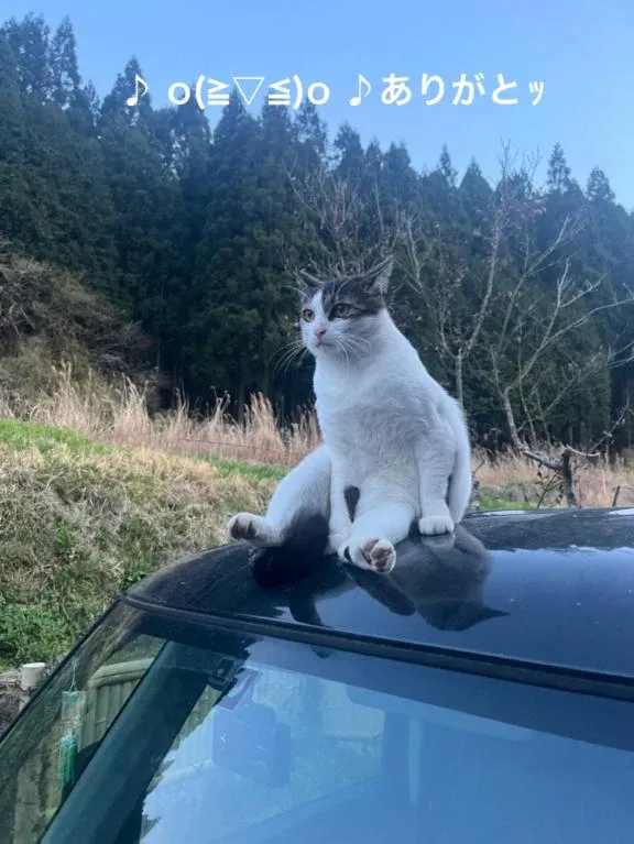 写メ日記 すみ 12/11(木) 16:57