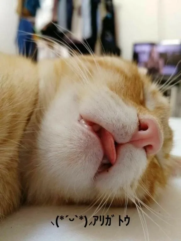 写メ日記 すみ 1/29(木) 01:34