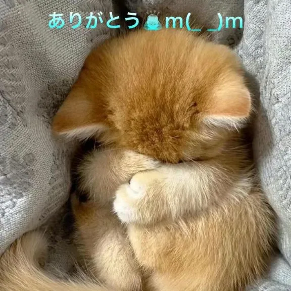 写メ日記 すみ 4/5(日) 12:54