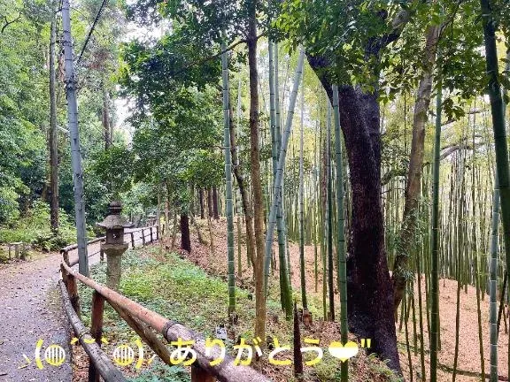 写メ日記 すみ 5/1(金) 22:04