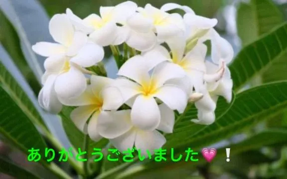 写メ日記 すみ 9/13(日) 11:24
