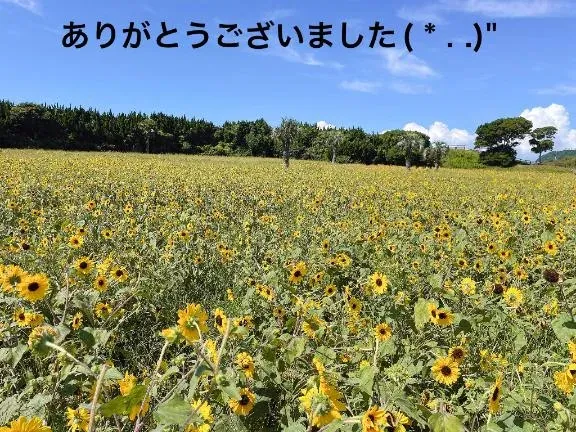 写メ日記 すみ 9/29(火) 18:34