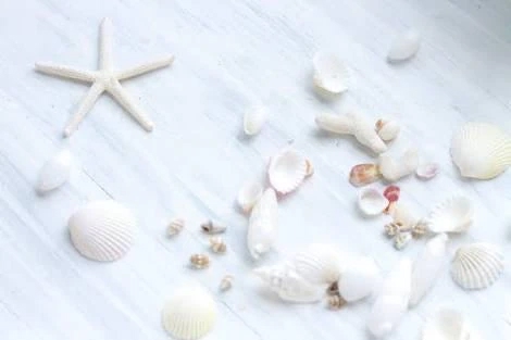 こま 写メ日記 10/25(土) 17:04