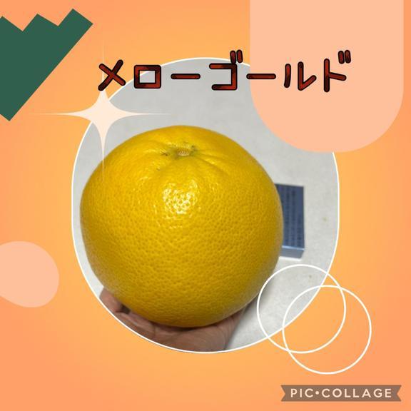 まきな 写メ日記 3/16(日) 10:14