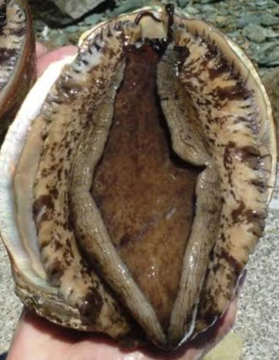 さえこ 写メ日記 10/3(金) 13:34