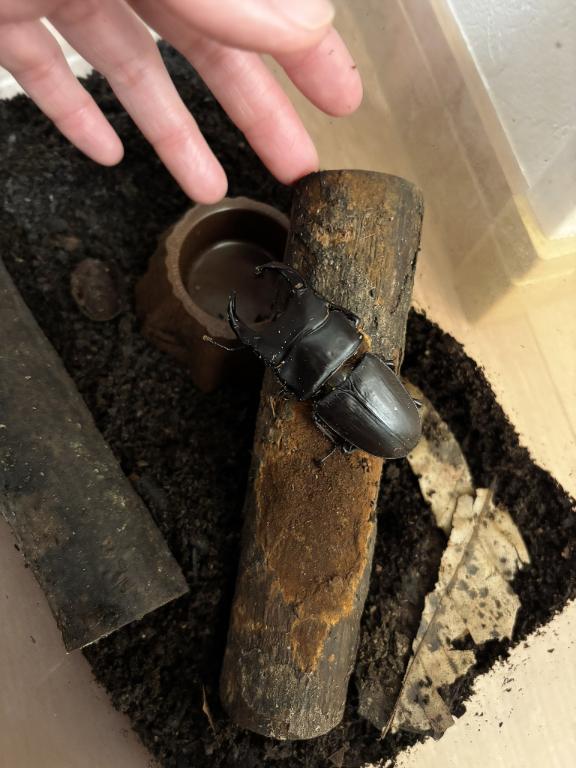 るみ 写メ日記 3/14(金) 22:51