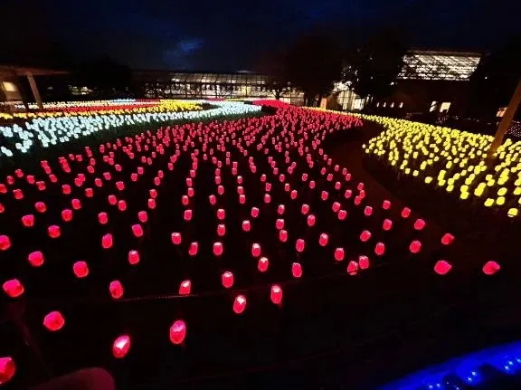 写メ日記 まこ 2/21(土) 15:34