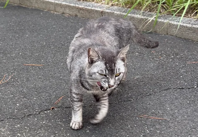 写メ日記 ななせ 9/22(火) 11:21
