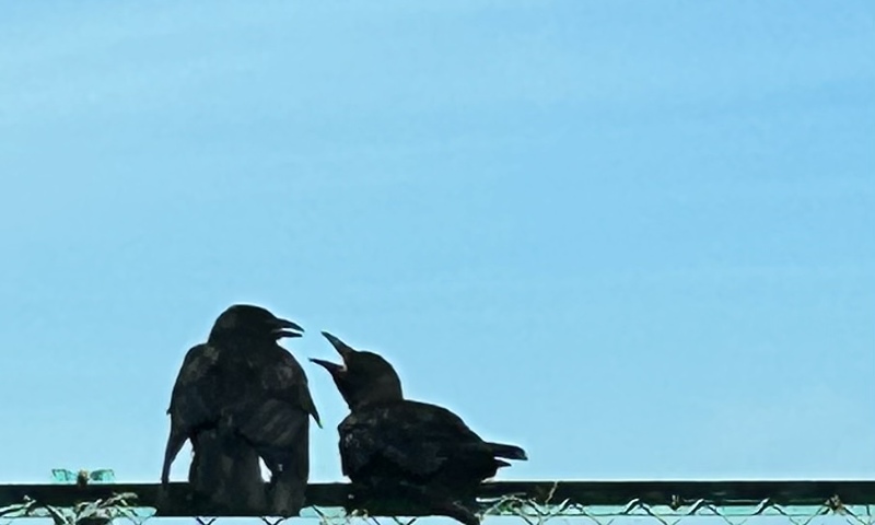 きみか 写メ日記 10/20(月) 14:58