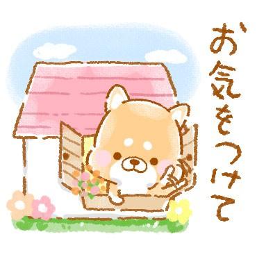 磯山久実子 写メ日記 4/17(木) 11:19
